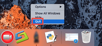 how to quit microsoft autoupdate on mac