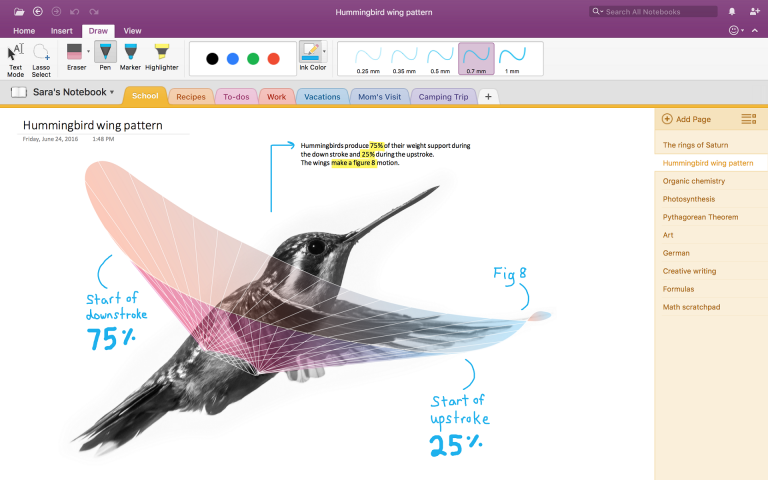 hummingbird-screenshot-768x480